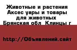 Животные и растения Аксесcуары и товары для животных. Брянская обл.,Клинцы г.